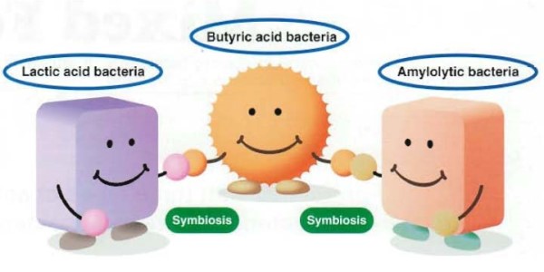 BIO-THREE